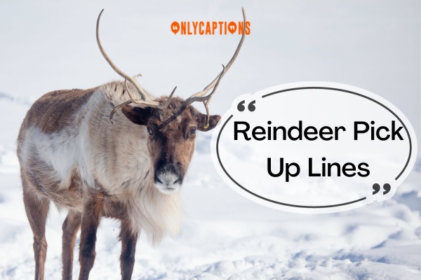 Reindeer Pick Up Lines (2023)