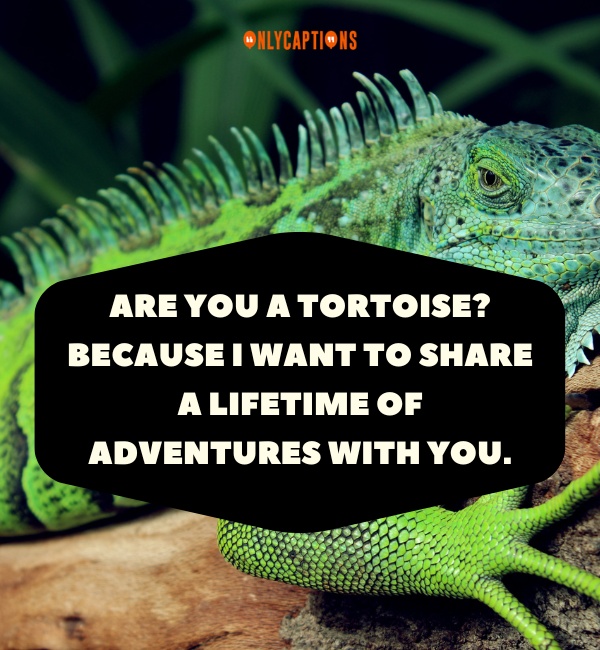 Reptile Pick Up Lines 1-OnlyCaptions
