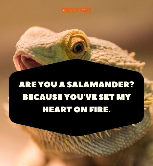 Reptile Pick Up Lines 2-OnlyCaptions