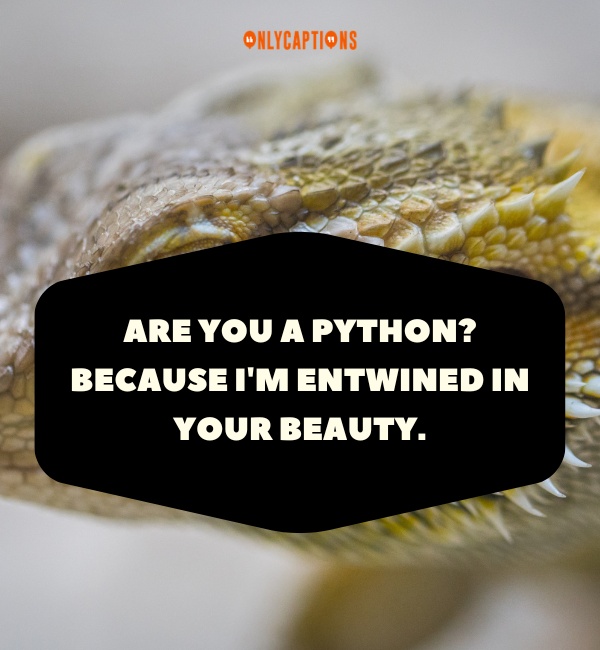 Reptile Pick Up Lines 3-OnlyCaptions