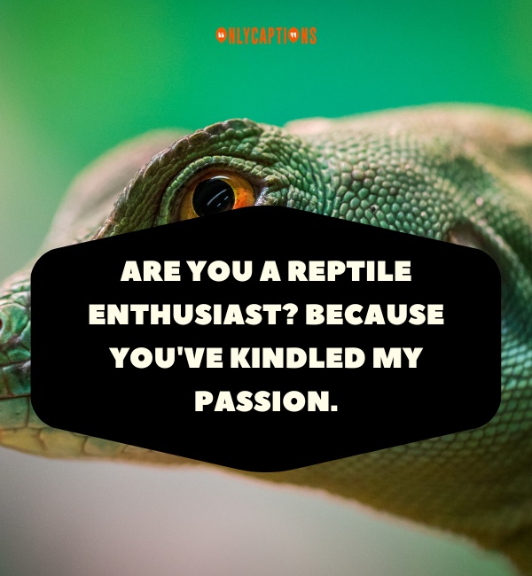 Reptile Pick Up Lines 4-OnlyCaptions