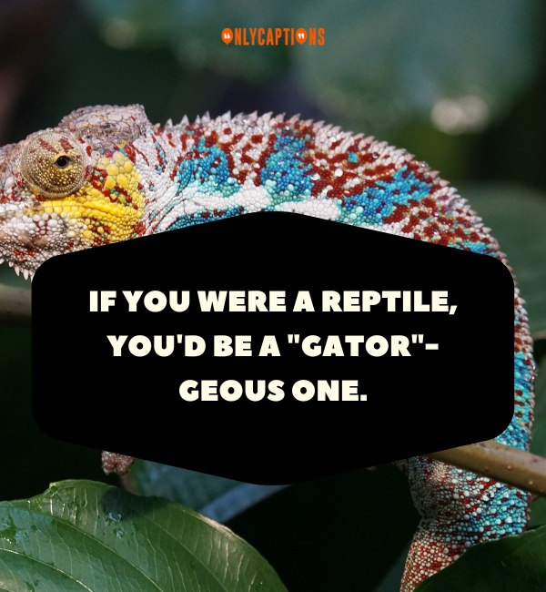 Reptile Pick Up Lines 5-OnlyCaptions