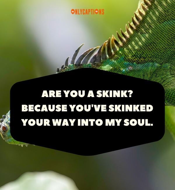 Reptile Pick Up Lines 6-OnlyCaptions
