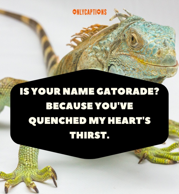 Reptile Pick Up Lines 7-OnlyCaptions