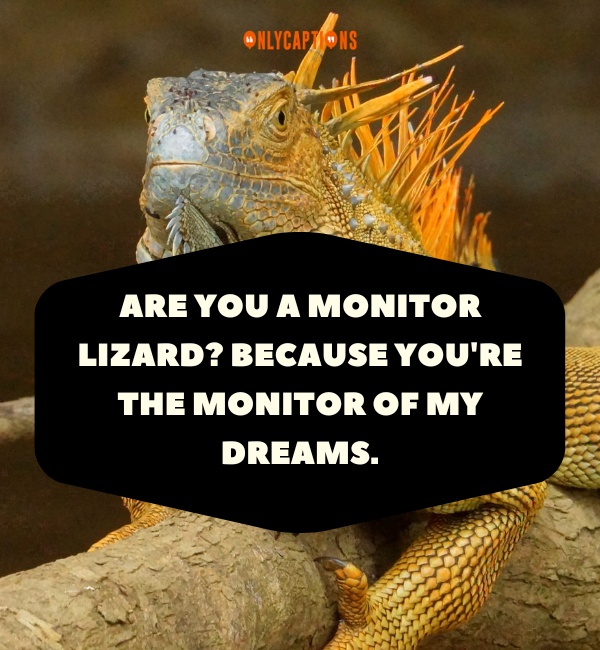 Reptile Pick Up Lines 8-OnlyCaptions