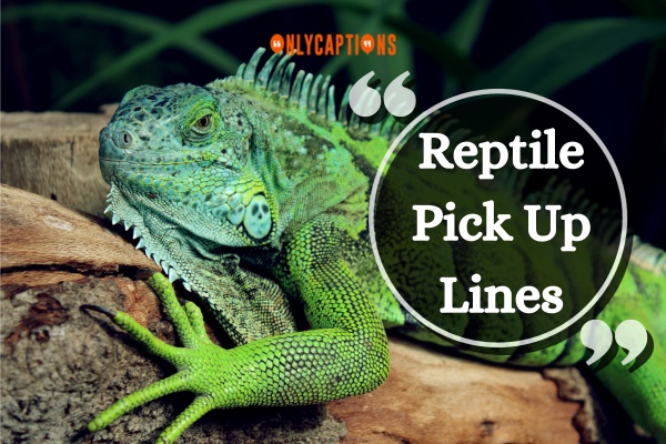 Reptile Pick Up Lines (2024)