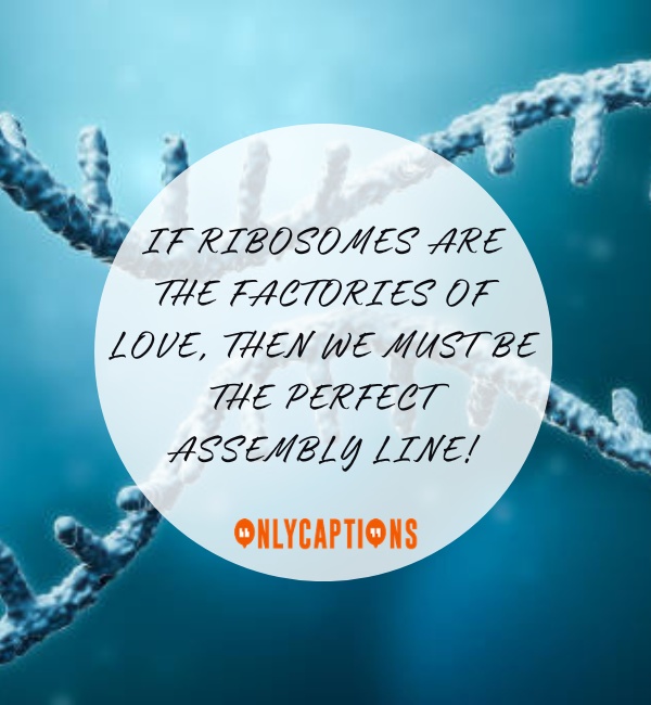 Ribosomes Pick Up Lines For Tinder (2024)
