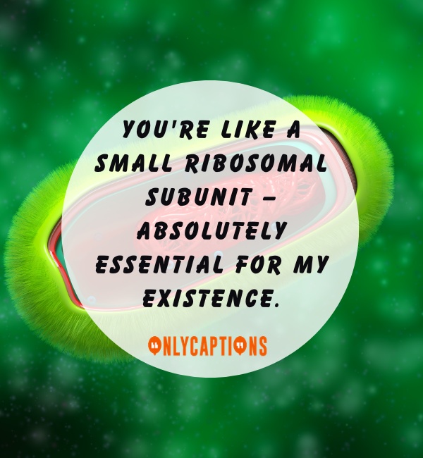 Ribosomes Pick Up Lines For Her (Girls)