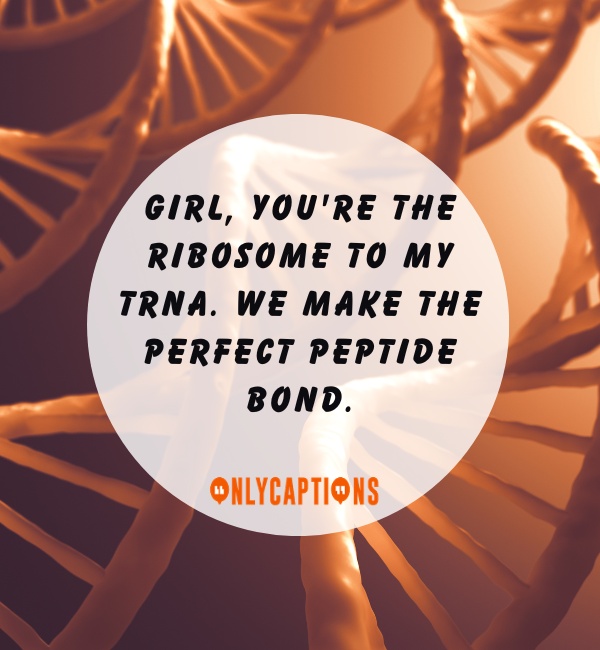 Ribosomes Pick Up Lines For Him (Guys)