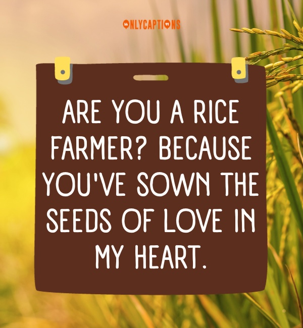 Rice Pick Up Lines 4-OnlyCaptions