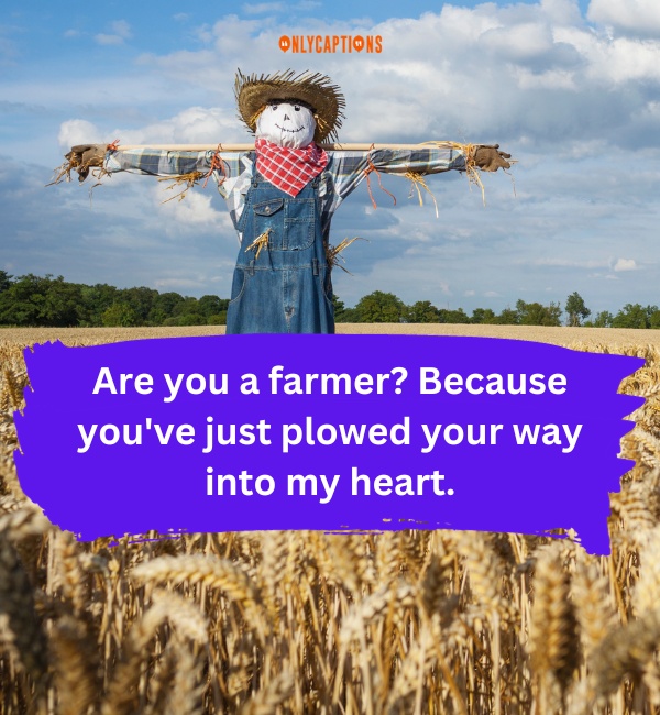 Scarecrow Pick Up Lines 1-OnlyCaptions