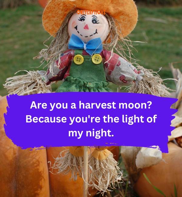 Scarecrow Pick Up Lines 2-OnlyCaptions