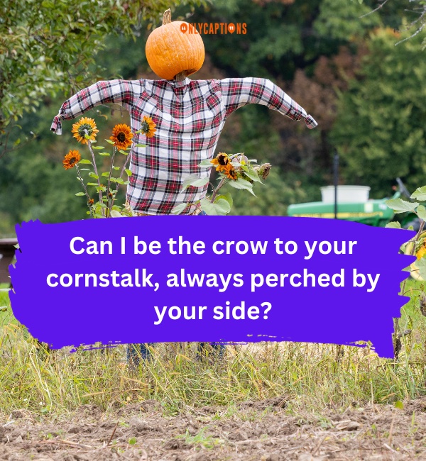 Scarecrow Pick Up Lines 3-OnlyCaptions