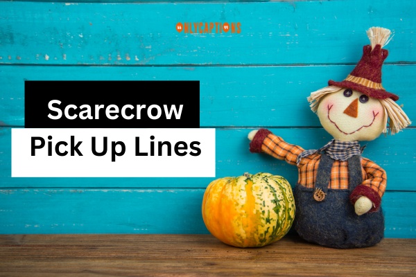 Scarecrow Pick Up Lines (2024)