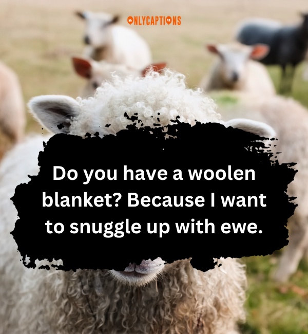 Sheep Pick Up Lines 2-OnlyCaptions