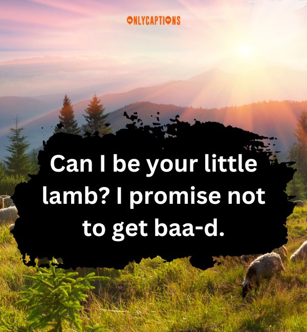 Sheep Pick Up Lines 4-OnlyCaptions