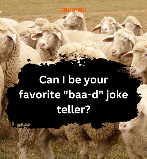 Sheep Pick Up Lines 6-OnlyCaptions