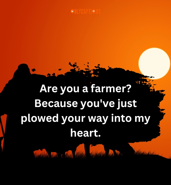 Sheep Pick Up Lines 7-OnlyCaptions