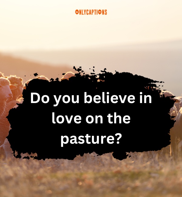 Sheep Pick Up Lines 8-OnlyCaptions