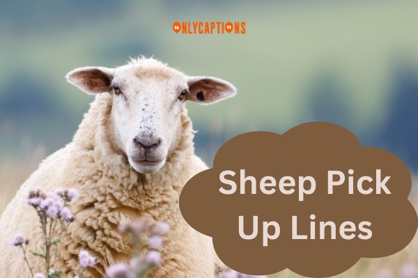 Sheep Pick Up Lines (2023)