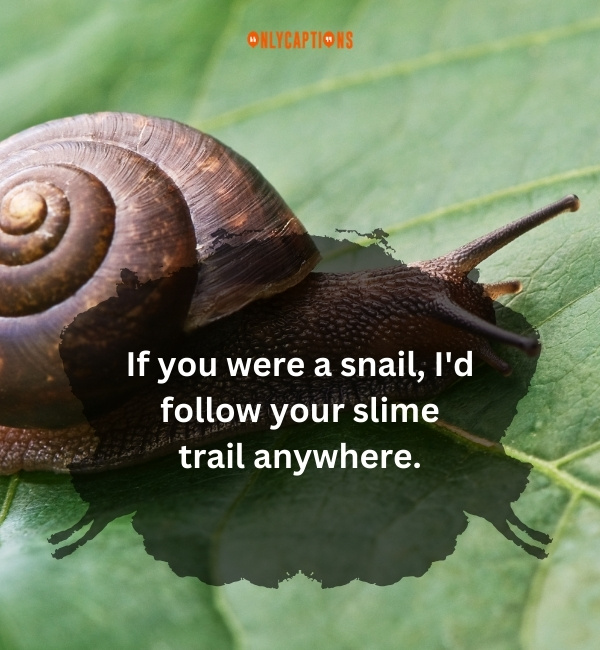 Snail Pick Up Lines 1-OnlyCaptions