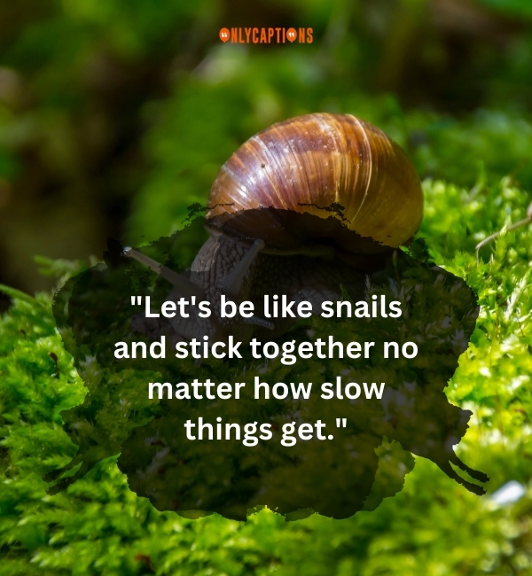 Snail Pick Up Lines 2-OnlyCaptions