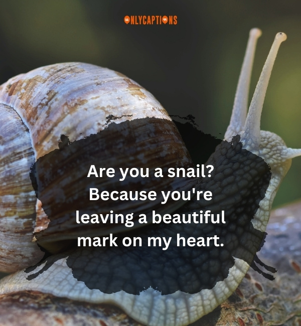 Snail Pick Up Lines 3-OnlyCaptions