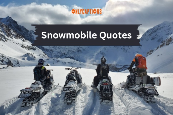 Snowmobile Quotes (2024)