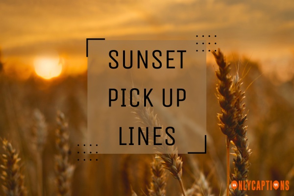 Sunset Pick Up Lines 1-OnlyCaptions