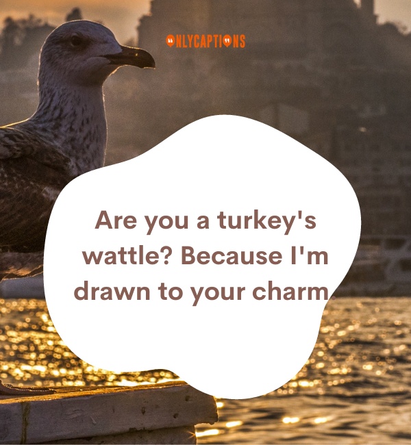 Turkey Pick Up Lines 1-OnlyCaptions