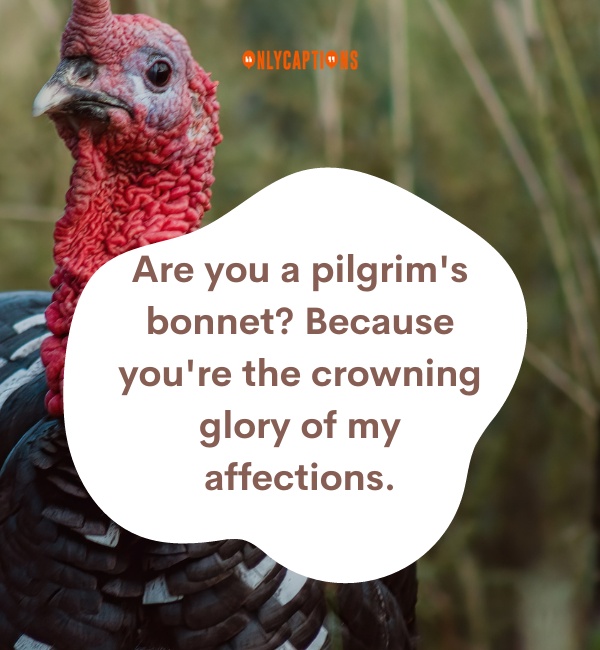 Turkey Pick Up Lines 2-OnlyCaptions