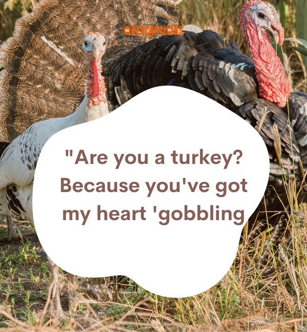 Turkey Pick Up Lines 3-OnlyCaptions