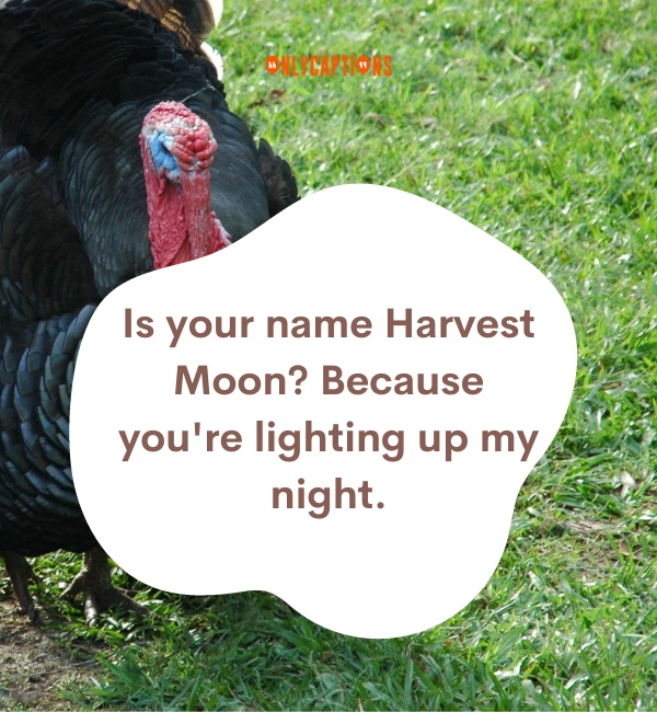 Turkey Pick Up Lines 5-OnlyCaptions