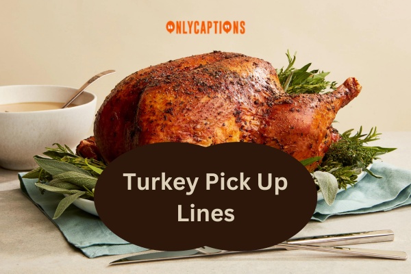 390+ Turkey Pick Up Lines (2024) Ready to Roost in Romance