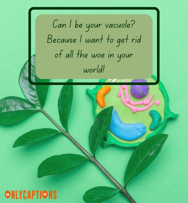 Funny Vacuole Pick Up Lines (2024)