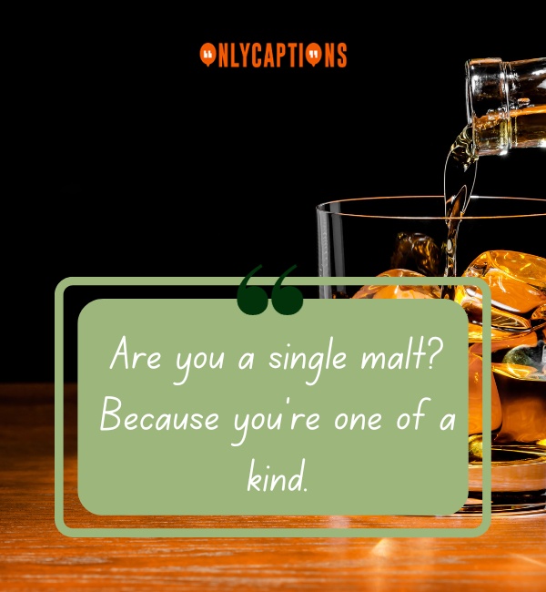 Whiskey Pick Up Lines 3-OnlyCaptions