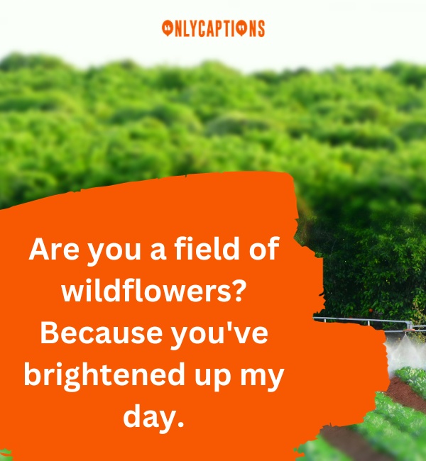 Agriculture Pick Up Lines 3-OnlyCaptions