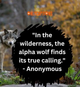 740+ Alpha Wolf Quotes (2024) Top Dominance Sayings
