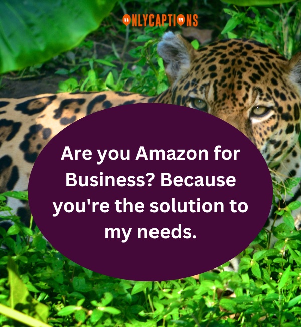 Amazon Pick Up Lines 5-OnlyCaptions