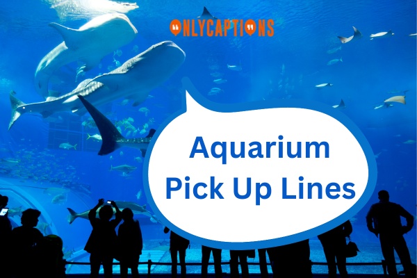 Aquarium Pick Up Lines (2023)