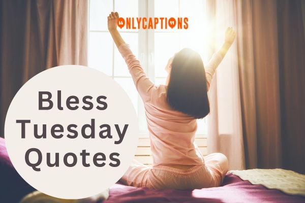 Bless Tuesday Quotes (2024)