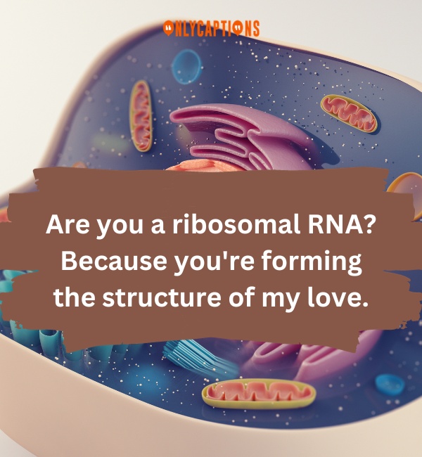 Cell Biology Pick Up Lines-OnlyCaptions