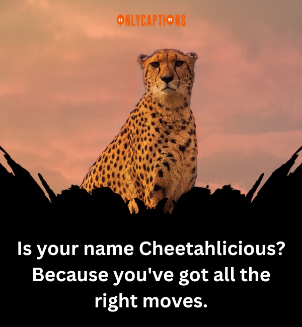 Cheetah Pick Up Lines 3-OnlyCaptions