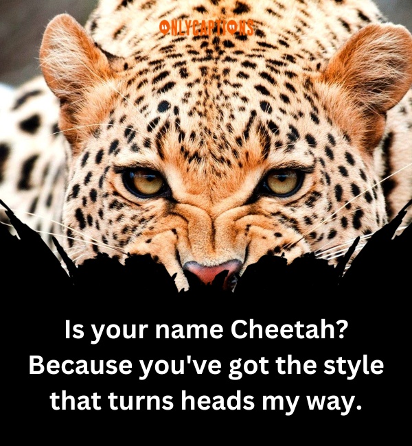 Cheetah Pick Up Lines-OnlyCaptions