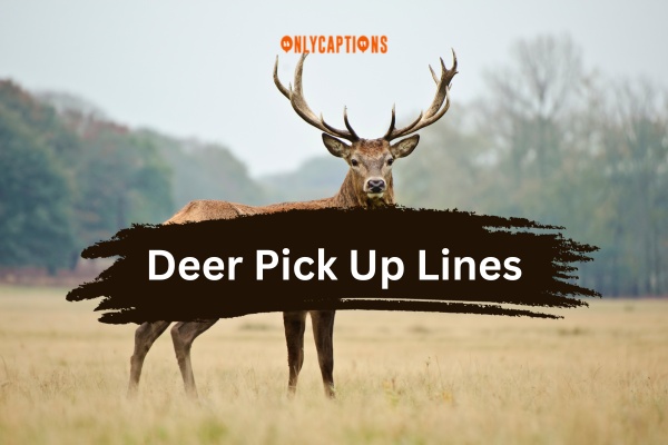 Deer Pick Up Lines (2023)