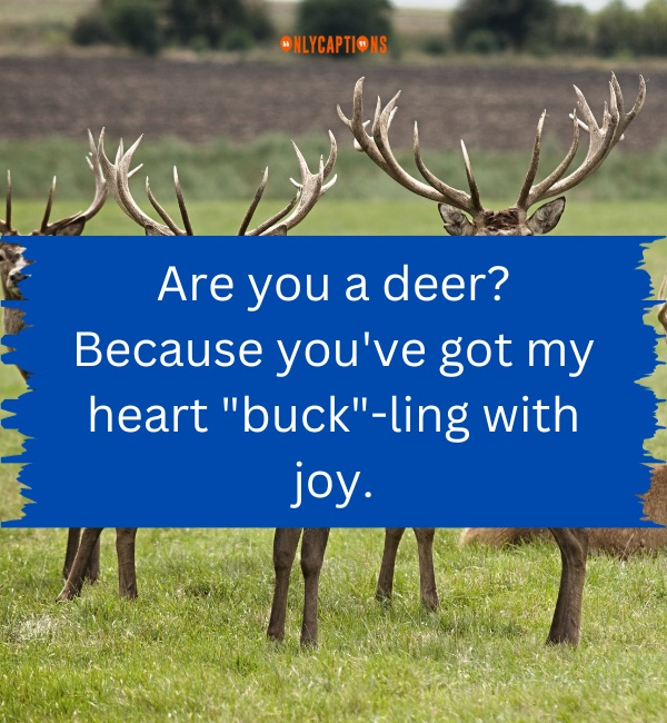 Deer Pick Up Lines 3-OnlyCaptions