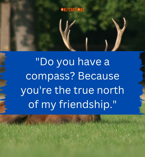 Deer Pick Up Lines 7-OnlyCaptions