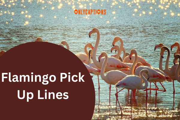 Flamingo Pick Up Lines (2024)