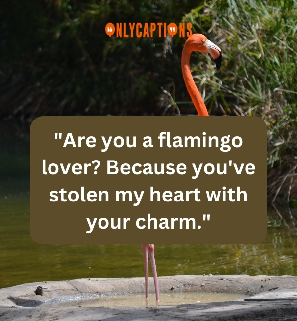 Flamingo Pick Up Lines 2-OnlyCaptions