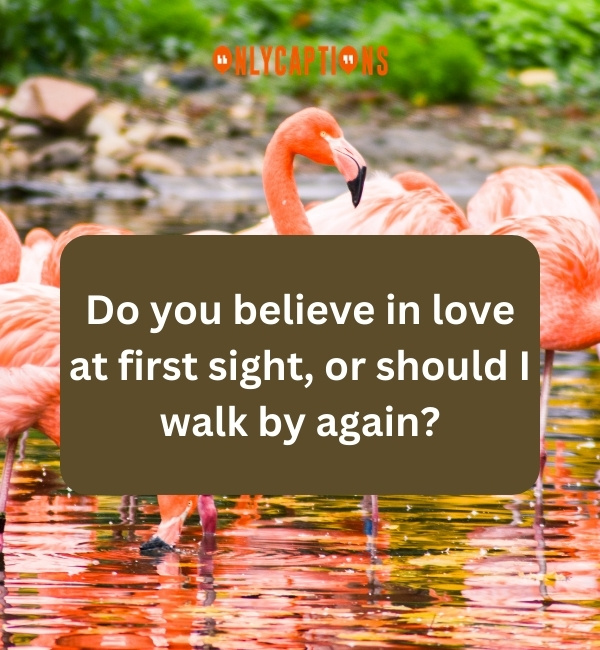 Flamingo Pick Up Lines 3-OnlyCaptions
